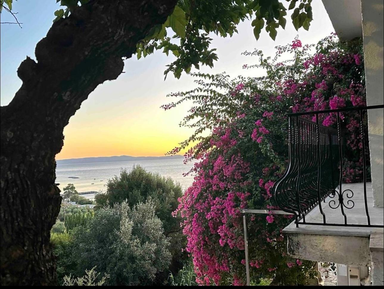 Villa Pinelopi カラマタ エクステリア 写真